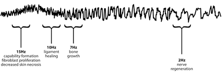 圖19：治療性觸摸與氣功練習者投射的生物磁場