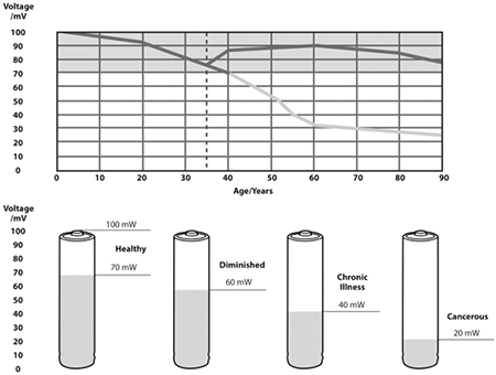 圖21：細胞電壓與健康或疾病的關聯