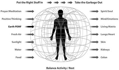 圖34：攝入益品,排出廢物