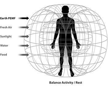 圖5：人體健康所需的5大元素 